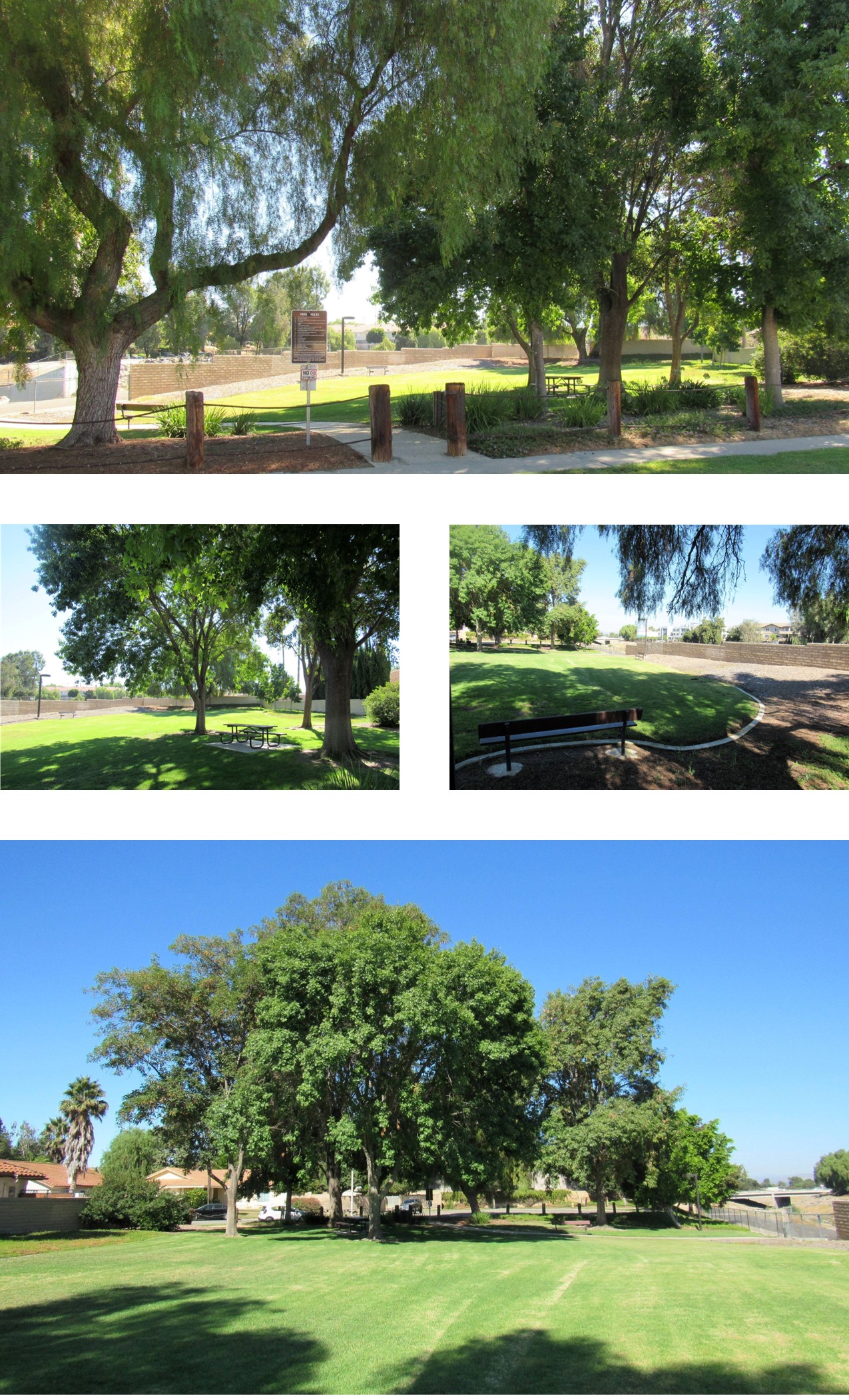 Willowbrook Park Collage